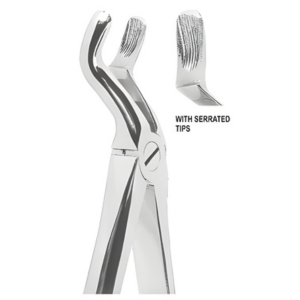 Extracting Forceps English pattern