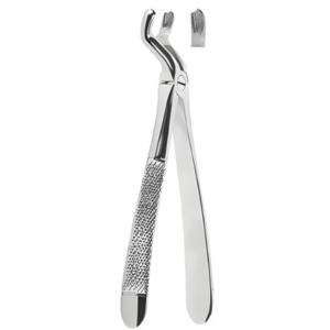Extracting Forceps English pattern