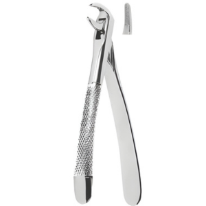 Extracting Forceps English pattern