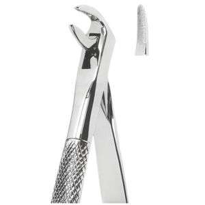 Extracting Forceps English pattern