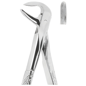 Extracting Forceps English pattern