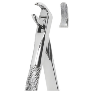 Extracting Forceps English pattern