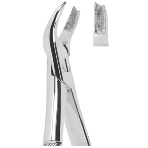 Extracting Forceps English pattern
