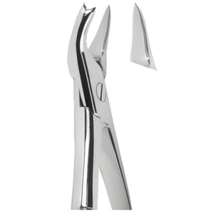 Extracting Forceps English pattern