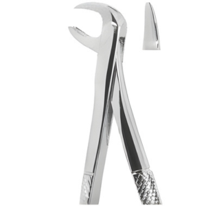 Extracting Forceps English pattern