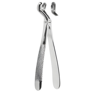 Extracting Forceps English pattern