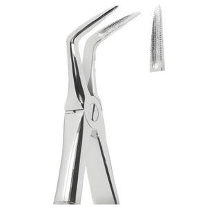 Extracting Forceps English pattern