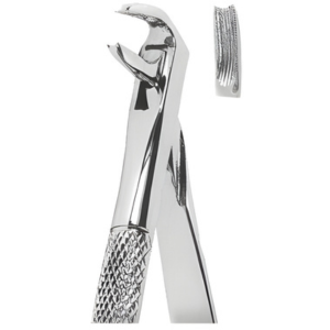 Extracting Forceps English pattern