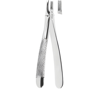 Extracting Forceps English pattern