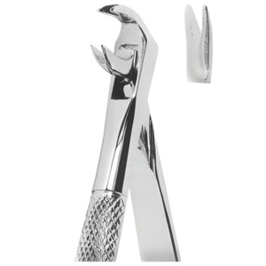 Extracting Forceps English pattern