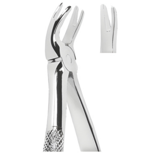 Extracting Forceps English pattern