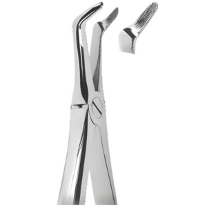 Extracting Forceps English pattern