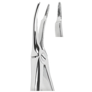 Extracting Forceps English pattern