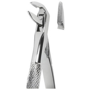 Extracting Forceps English pattern
