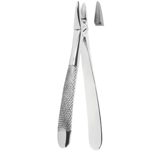 Extracting Forceps English pattern