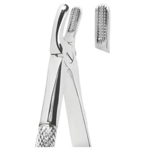 Extracting Forceps English pattern