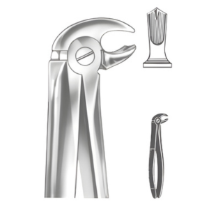 Extracting Forceps English pattern