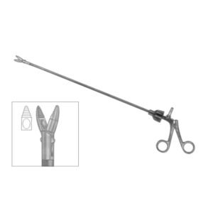 BULLET NOSE DISSECTING FORCEPS