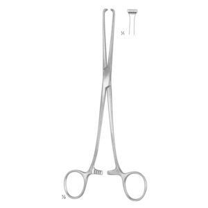 ALLIS TISSUE AND ORGAN HOLODING FORCEPS
