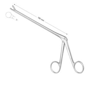 OLDBERG LAMINECTOMY RONGERUR
