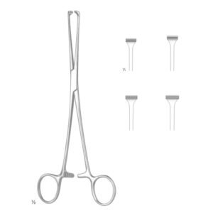 ALLIS ATRAUMA TISSUE AND ORGEN HOLDING FORCEPS