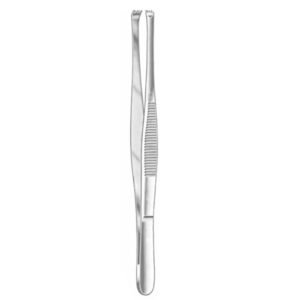 STONE TISSUE FORCEPS