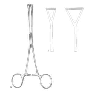 DUVAL TISSUE AND ORGAN HOLDING FORCEPS
