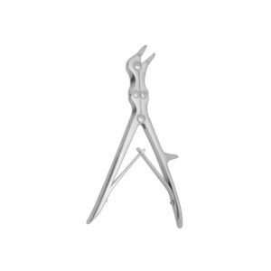 BONE RONGUERS ANGULAR