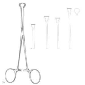 BABCOCK TISSUE AND ORGAN HOLDING FORCEPS