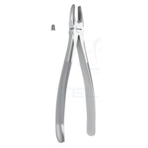 Extracting Forceps English Pattern