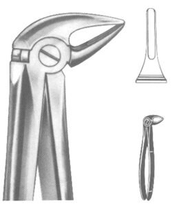 Extracting Forceps English pattern