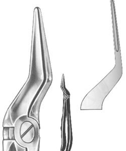 Relax Extracting Forceps