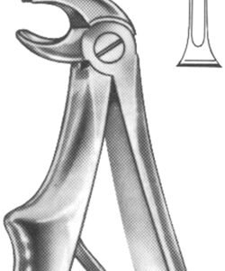Extracting Forceps For Children - English Pattern