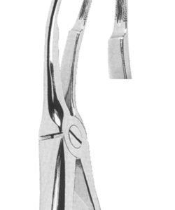 Extracting Forceps English pattern