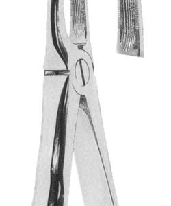 Extracting Forceps With Anatomically Shaped Handle