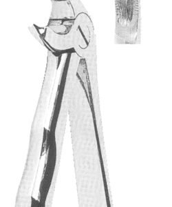Extracting Forceps With Anatomically Shaped Handle