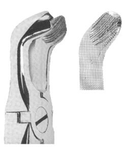 Extracting Forceps With Anatomically Shaped Handle