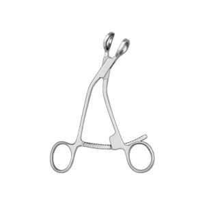 Bone Holding Forcep, Orthopedic Instrument