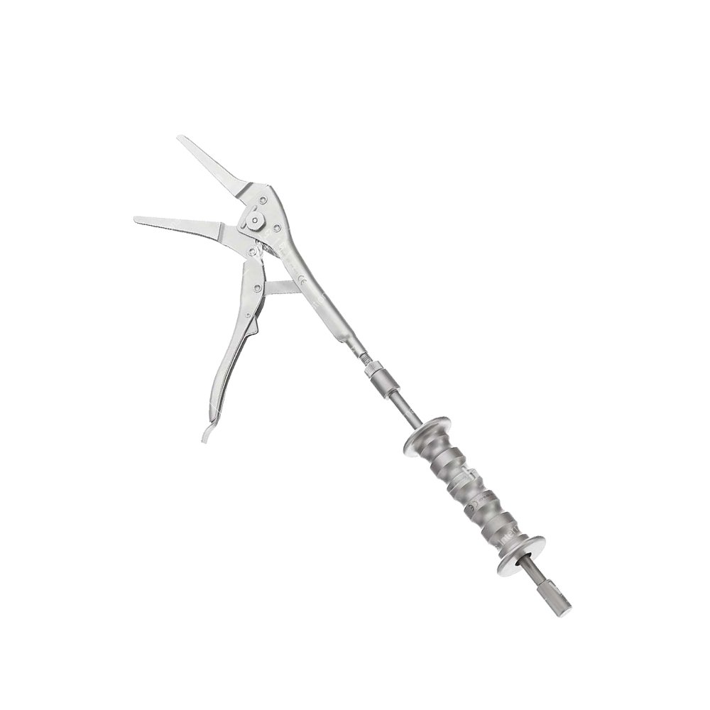 Locking Pliers With Slaphammers